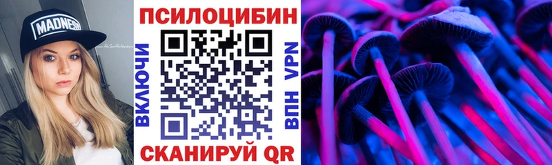 Псилоцибиновые грибы Psilocybe  Усть-Кут 